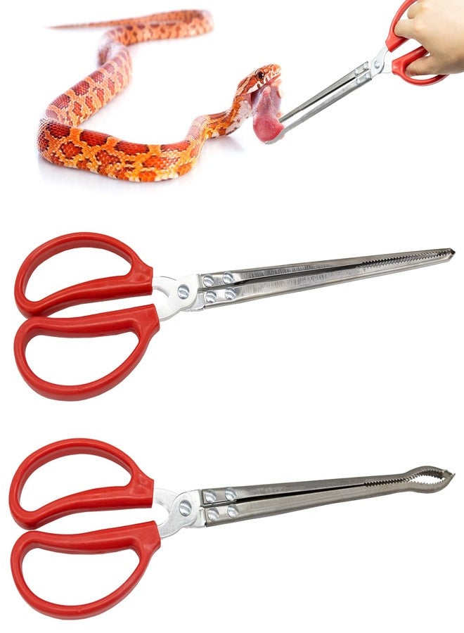 Niuohoy 2 Pcs Snake Feeding Tongs 15 Inch Extra Long Stainless Steel Reptile Feeding Tongs, Curved Mouth & Straight Mouth for Ball Python, Fish Aquariums, Reptiles Snakes, Tank Accessories Terrarium Supplies - Image 1